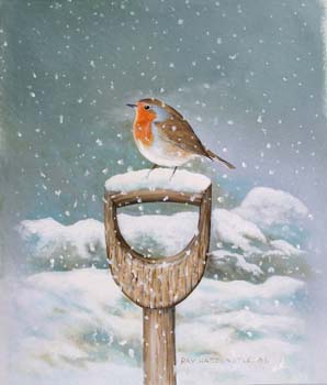 Snow Robin